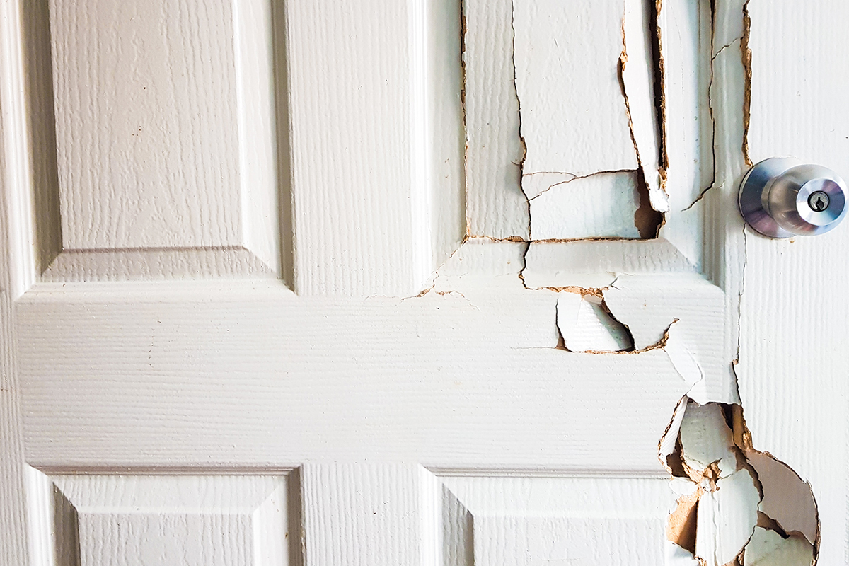 Choosing the Right Front Door
